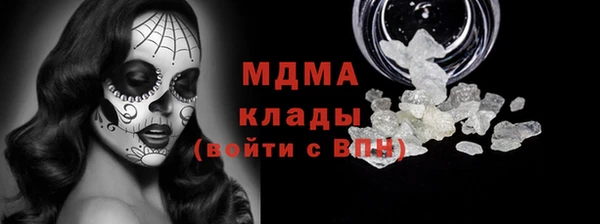 молекула духа Вяземский