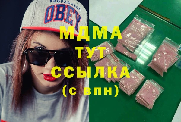 молекула духа Вяземский